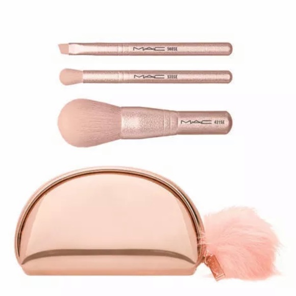 Blush Brush Set - Picture 1 of 5